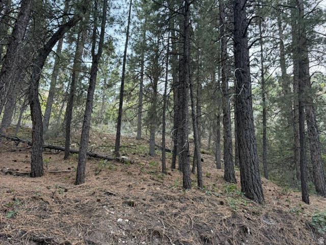 137 North Kolob Road, Unit 36 Springdale, UT 84767 - Photo 13 of 19