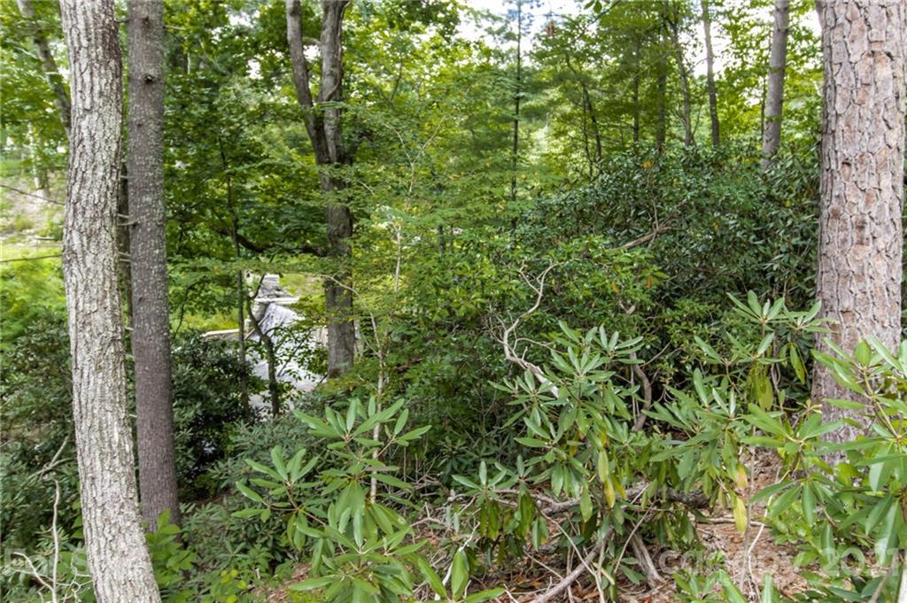 1287 Brookside Camp Road Hendersonville, NC 28792 - Photo 41 of 42 Gallery Image 41