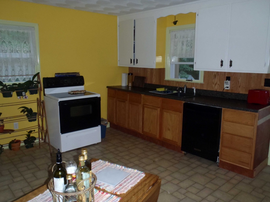 850 Doe Run Road Rocky Mount, VA 24151 - Photo 3 of 5 Kitchen