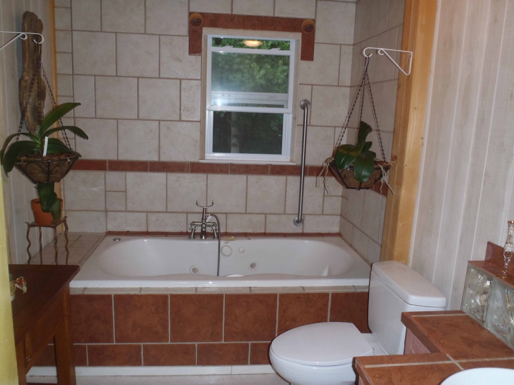 850 Doe Run Road Rocky Mount, VA 24151 - Photo 5 of 5 Whirlpool Bath