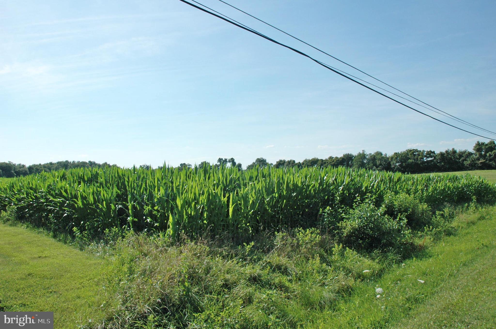 Lot 2 Crystal Beach Road Earleville, MD 21919 - Photo 1 of 4 1 acre country lot