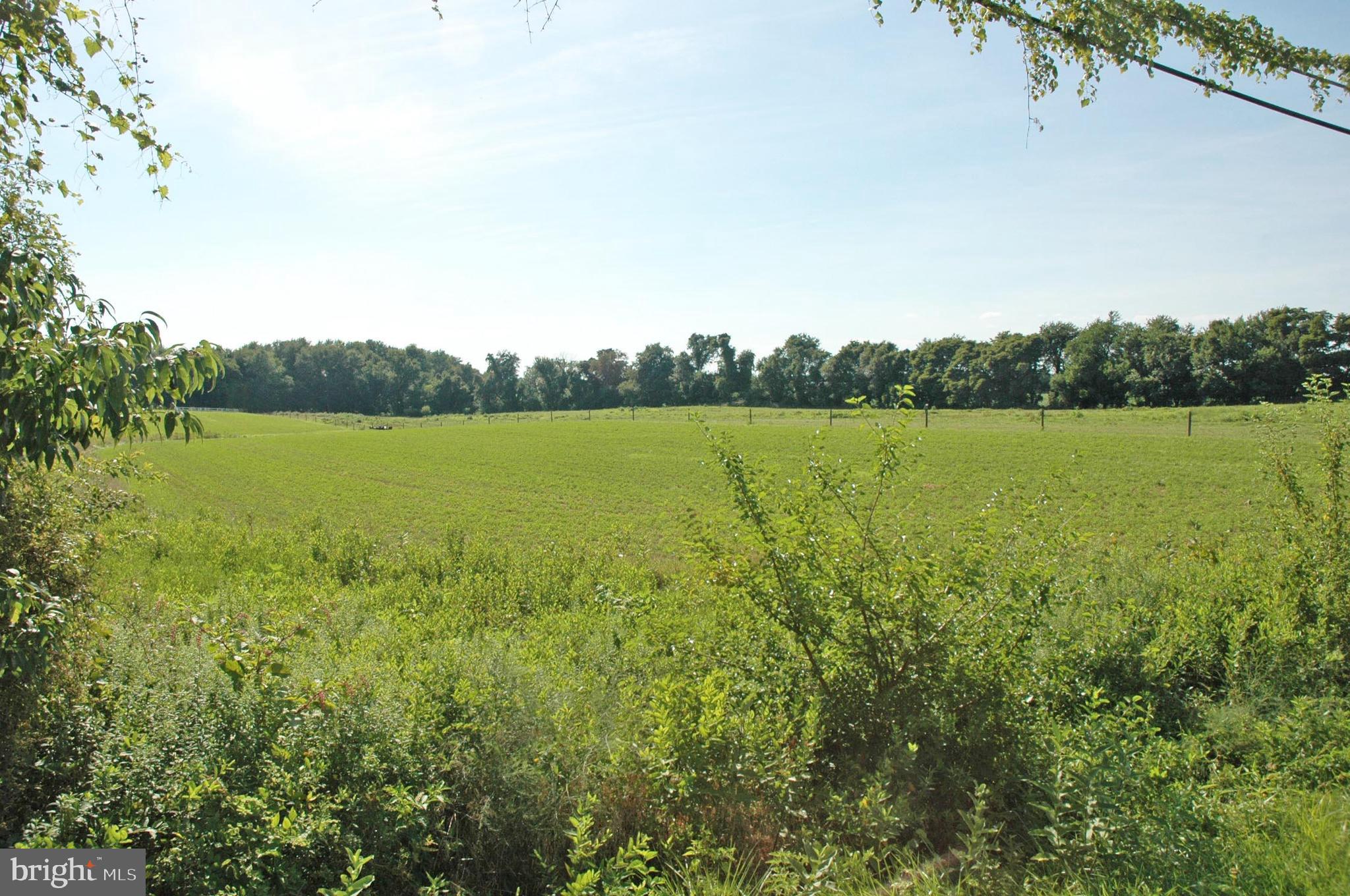 Lot 2 Crystal Beach Road Earleville, MD 21919 - Photo 2 of 4 with beautiful open vistas