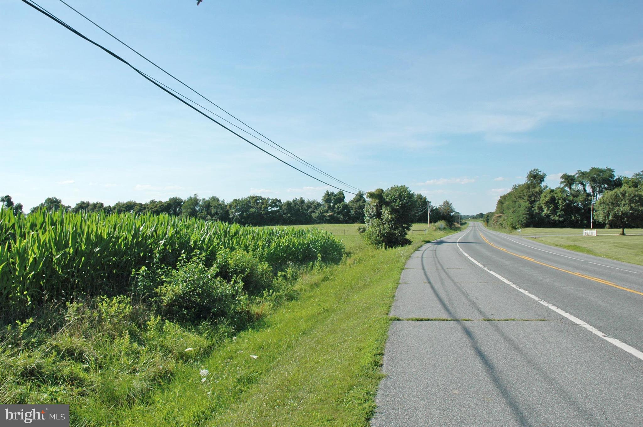 Lot 2 Crystal Beach Road Earleville, MD 21919 - Photo 4 of 4 View looking west along 282
