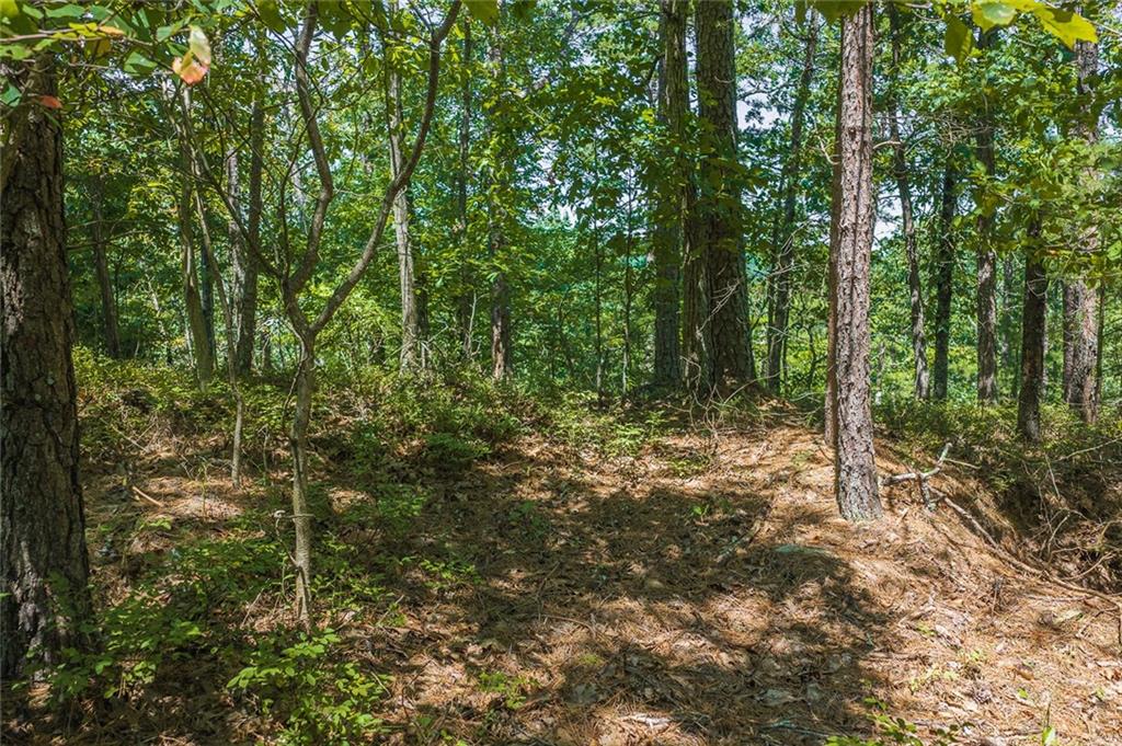 694-95 Railey Ridge Ranger, GA 30734 - Photo 6 of 17 Gallery Image 6