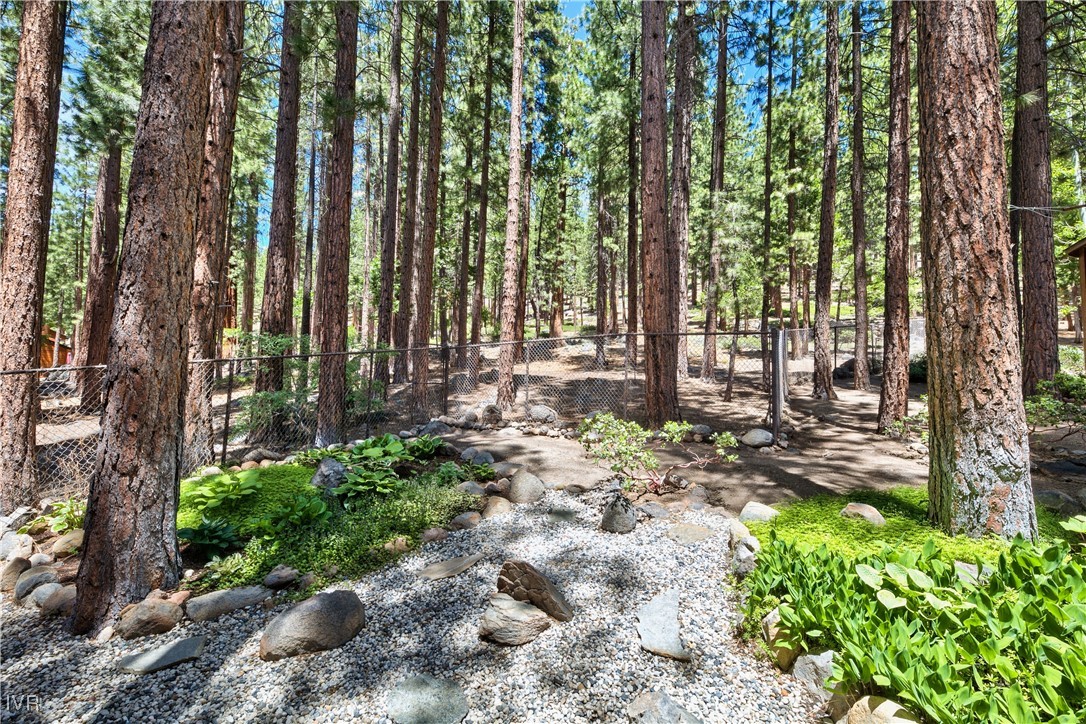 609 Lariat Circle, Unit 2 Incline Village, NV 89451 - Photo 21 of 24 a backyard of a house with lots of green space
