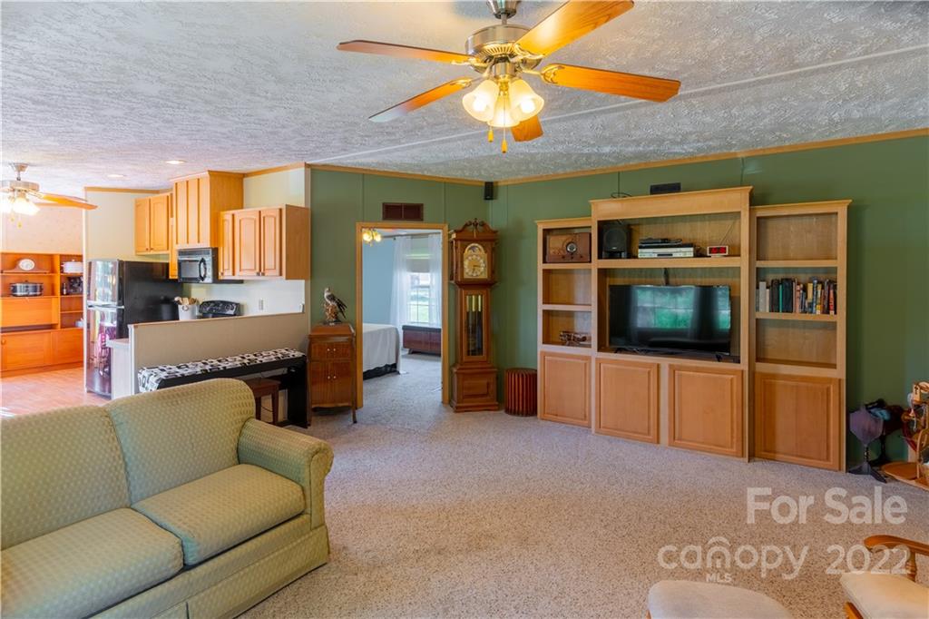 48 Lynn Estate Road Hendersonville, NC 28792 - Photo 6 of 23 a living room with furniture and a flat screen tv