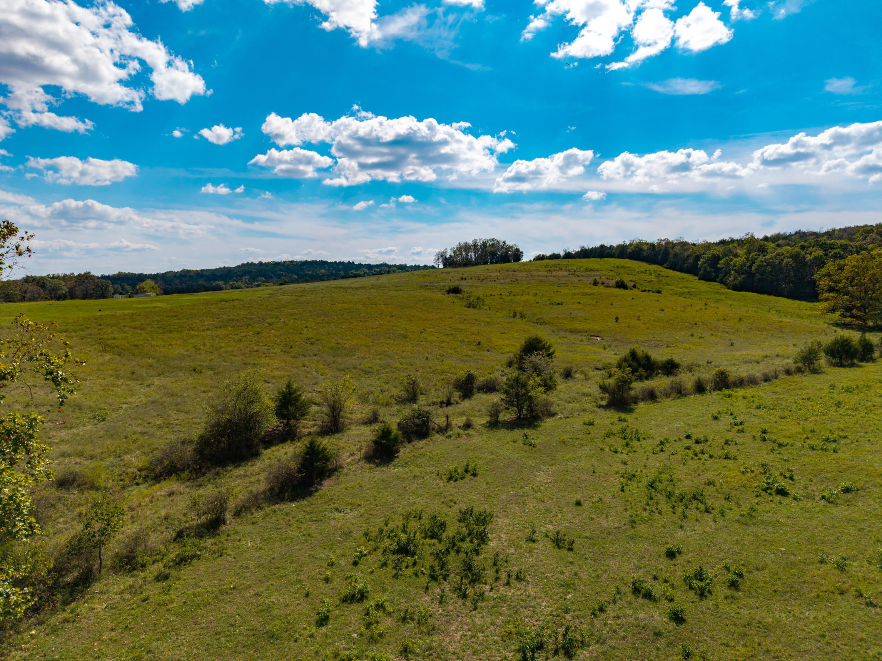 9 Meal Ranch Road Theodosia, MO 65761 - Photo 57 of 60 9 Meal Ranch-11