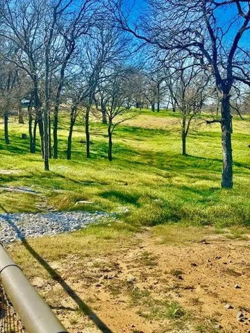a view of an trees with a yard