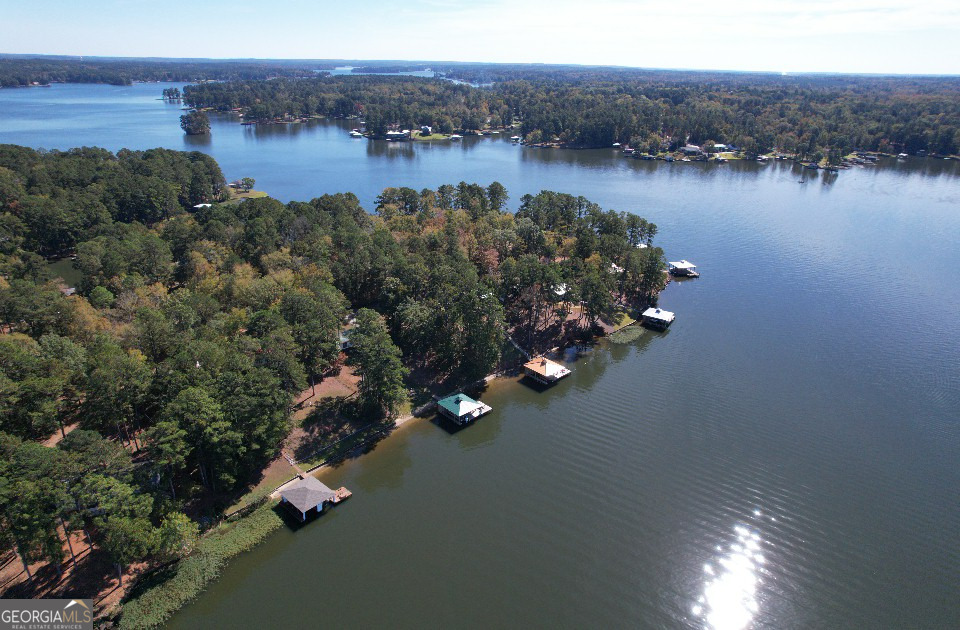 955 Barbara Point Road Sparta, GA 31087 - Photo 37 of 54 a view of lake and mountain