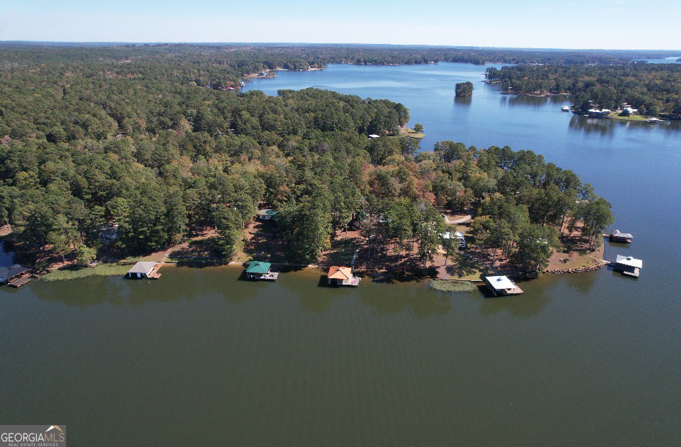 955 Barbara Point Road Sparta, GA 31087 - Photo 38 of 54 a view of a city