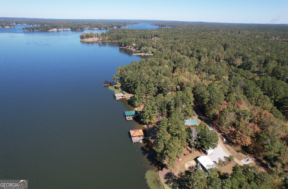 955 Barbara Point Road Sparta, GA 31087 - Photo 39 of 54 an aerial view of multiple house