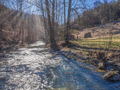 4361 Chestnut Ridge Road Eidson, TN 37731 - Photo 15 of 42 99F45A42-1D4F-4DD2-BF24-6108A3FAA534