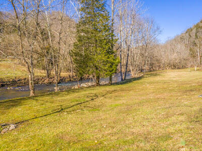 4361 Chestnut Ridge Road Eidson, TN 37731 - Photo 25 of 42 E48BBE77-3D33-43E2-BC63-8467C5B2381C