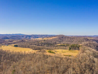 4361 Chestnut Ridge Road Eidson, TN 37731 - Photo 35 of 42 1764A25A-8427-4C1D-A8E8-B47B7AE55C2E
