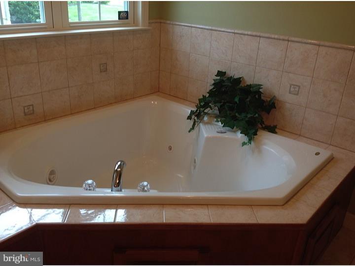 5109 Stoudts Ferry Bridge Road Reading, PA 19605 - Photo 14 of 25 Master Bathroom