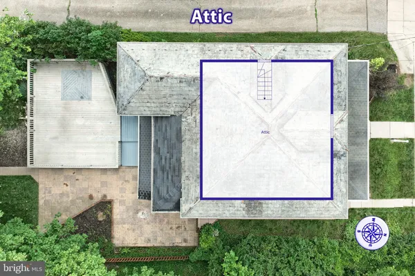 a view of a garden with a tree