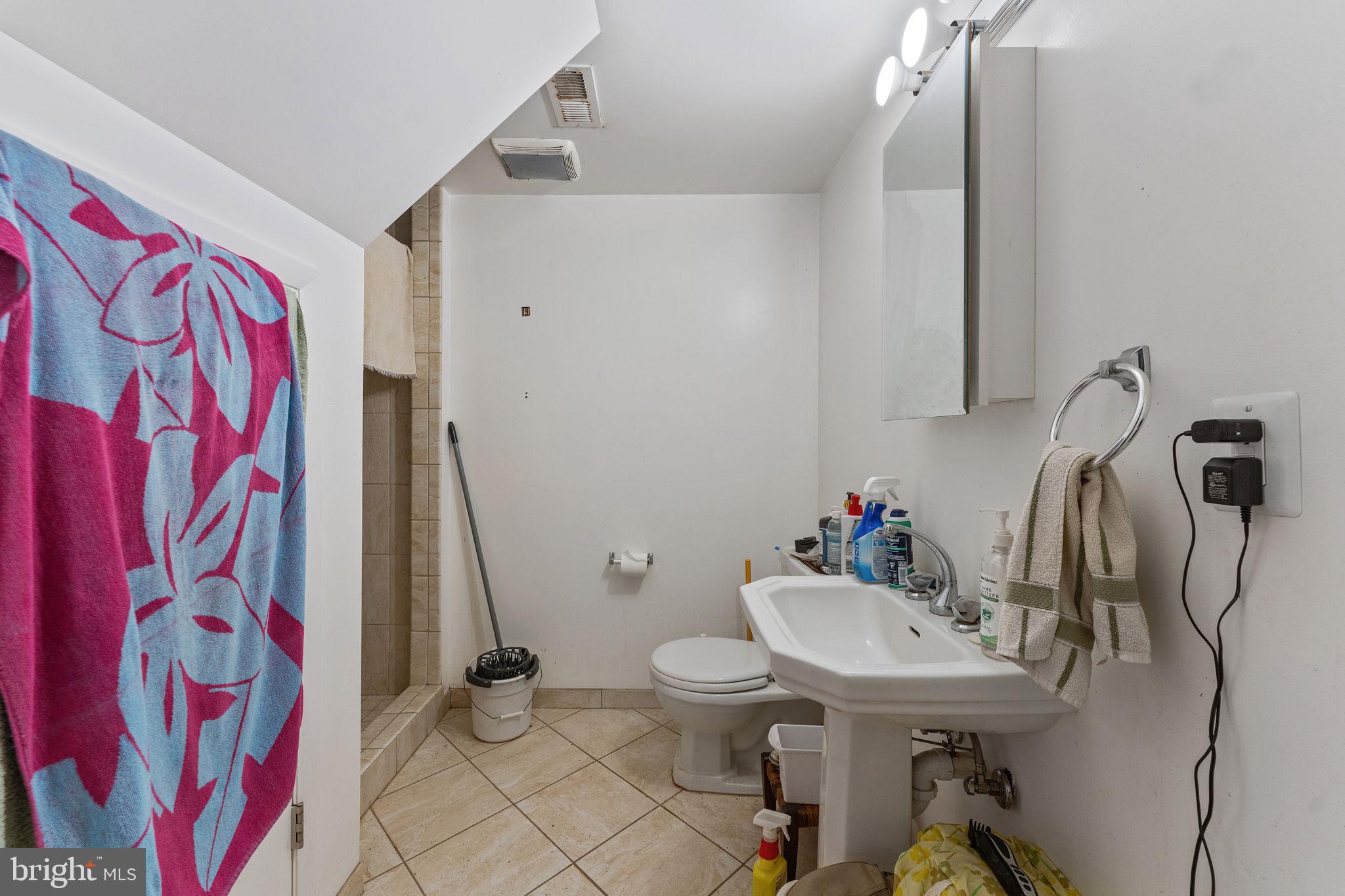 4000 North Glebe Road Arlington, VA 22207 - Photo 35 of 46 Lower level bath