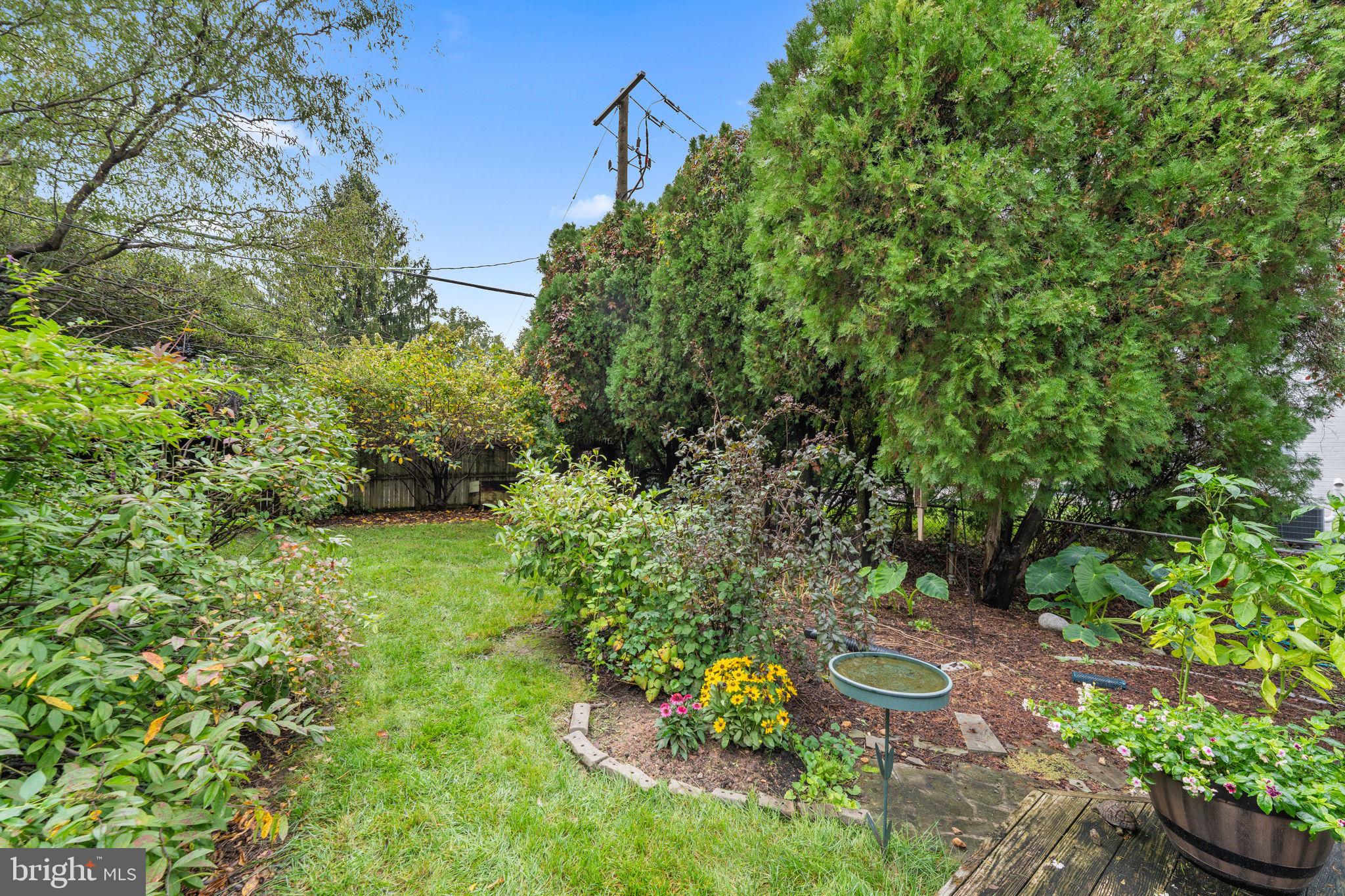 4000 North Glebe Road Arlington, VA 22207 - Photo 7 of 46 Garden off deck