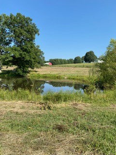 0 Stephenson Road Summertown, TN 38483 - Photo 2 of 11 Gallery Image 2