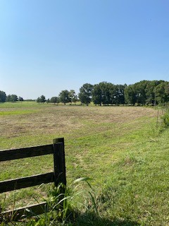 0 Stephenson Road Summertown, TN 38483 - Photo 11 of 11 Gallery Image 11