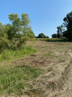 0 Stephenson Road Summertown, TN 38483 - Photo 3 of 11 Gallery Image 3