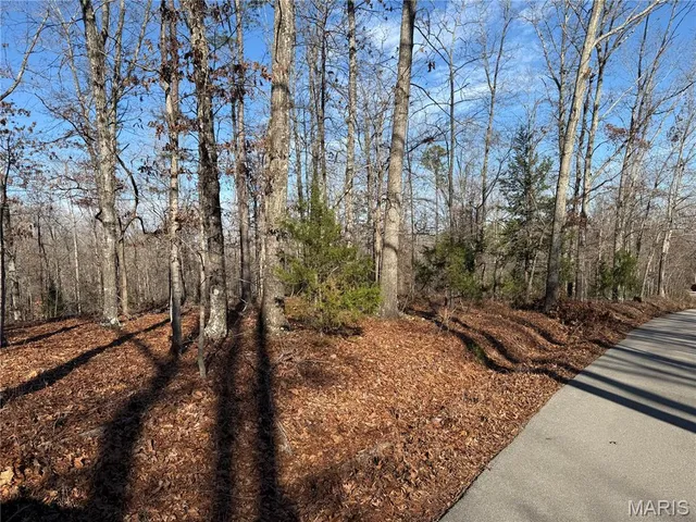 $375,000 | 0 Bass Rock Drive, Van Buren, MO 63965