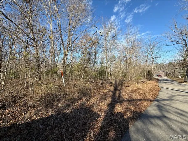 $375,000 | 0 Bass Rock Drive, Van Buren, MO 63965
