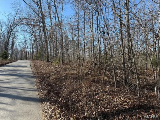 $375,000 | 0 Bass Rock Drive, Van Buren, MO 63965