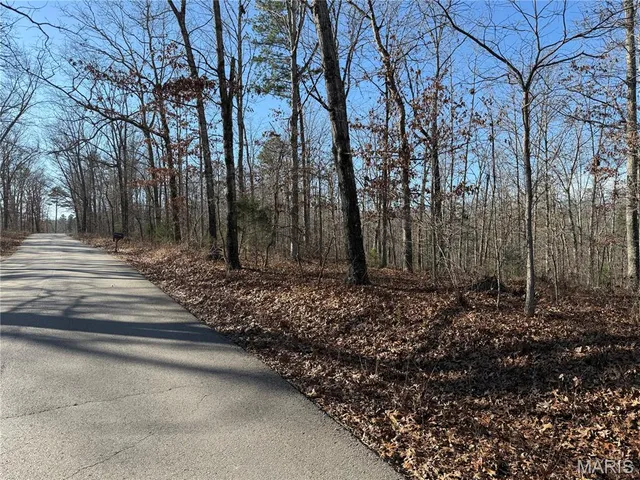 $375,000 | 0 Bass Rock Drive, Van Buren, MO 63965