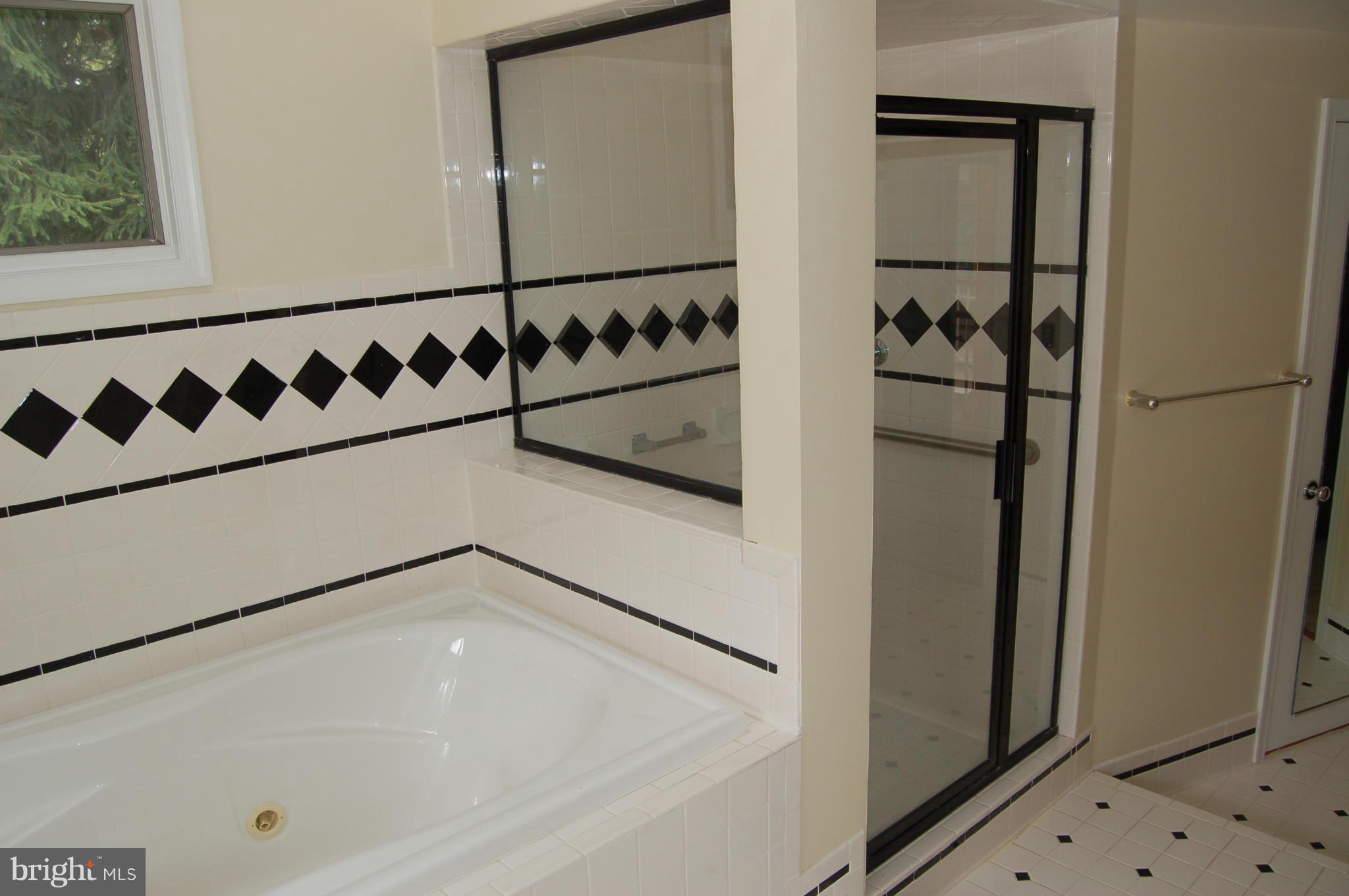 8712 Brickyard Road Potomac, MD 20854 - Photo 22 of 30 a bathroom with a bathtub and a shower