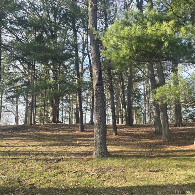 4662 North Lapeer Road Columbiaville, MI 48421 - Photo 18 of 19