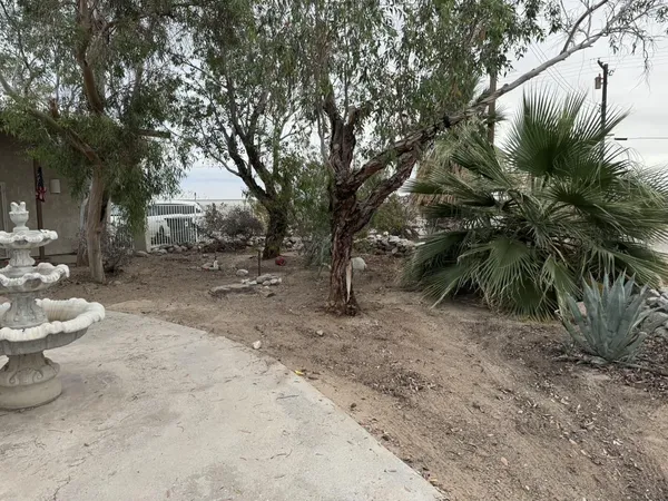a view of a yard with a tree