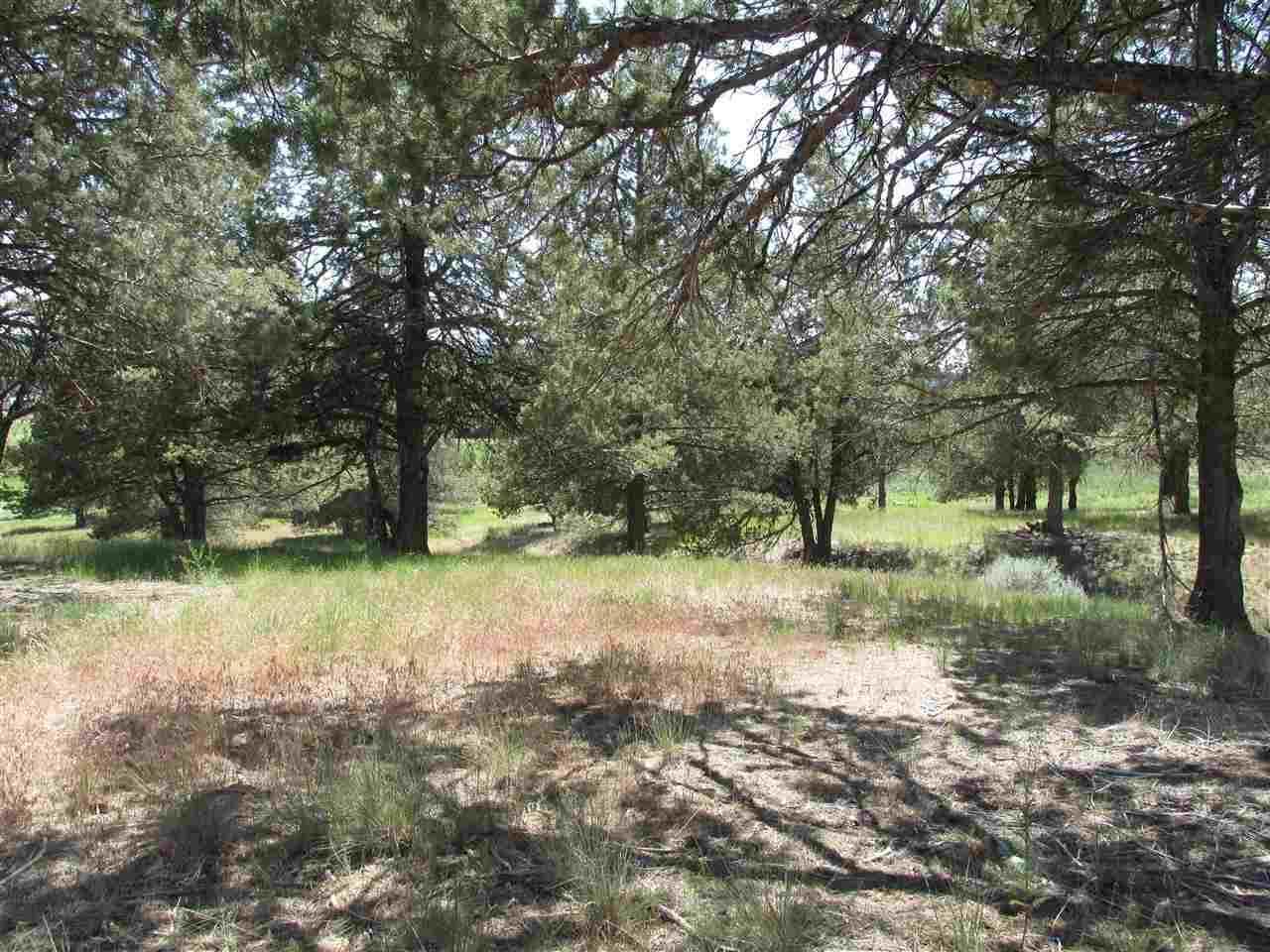 1146 Parula Road, Unit 1146 Klamath Falls, OR 97601 - Photo 5 of 7 39E420EA-EC26-4186-A490-5EC8F660C94F