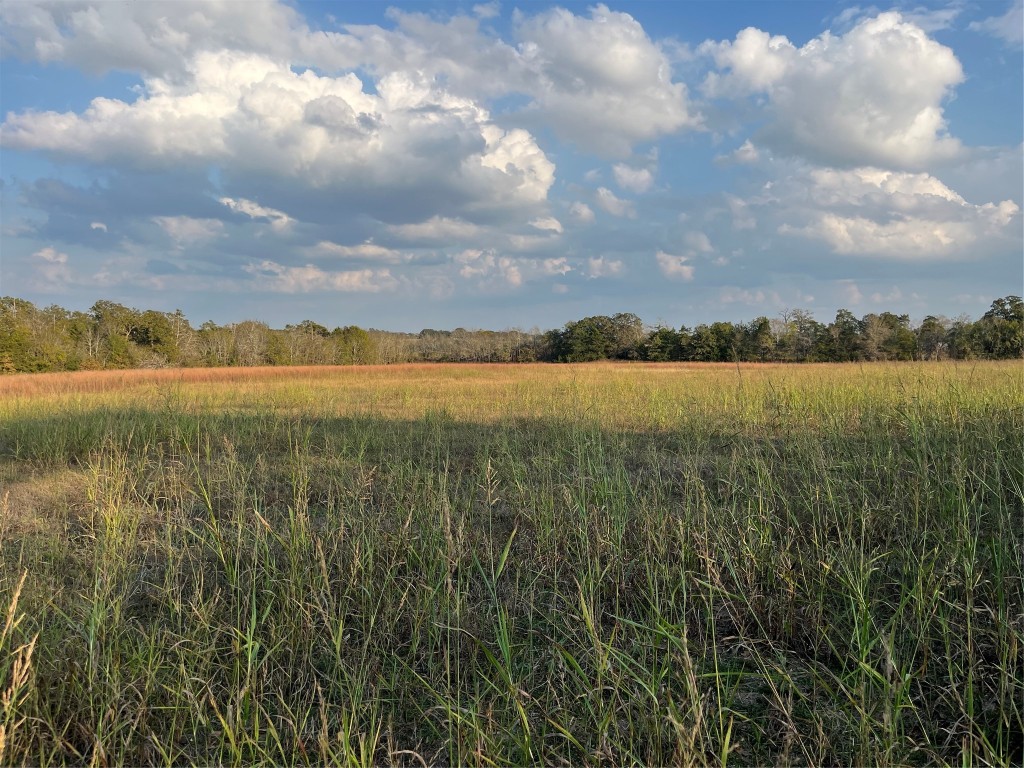 a view of lake and mountain