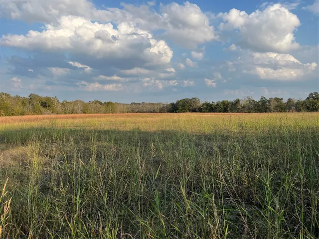 $150,000 | 0 Squirrel Road, New Ulm, TX 78950