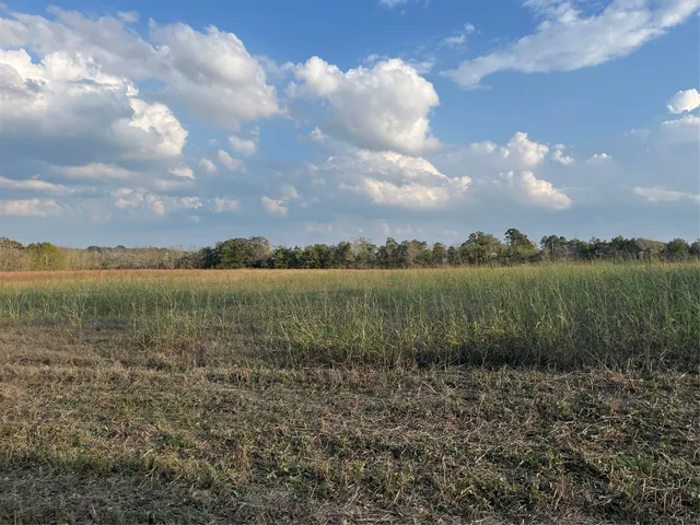 $150,000 | 0 Squirrel Road, New Ulm, TX 78950