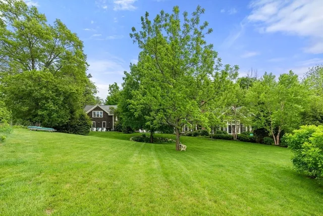 a view of a field of grass and trees