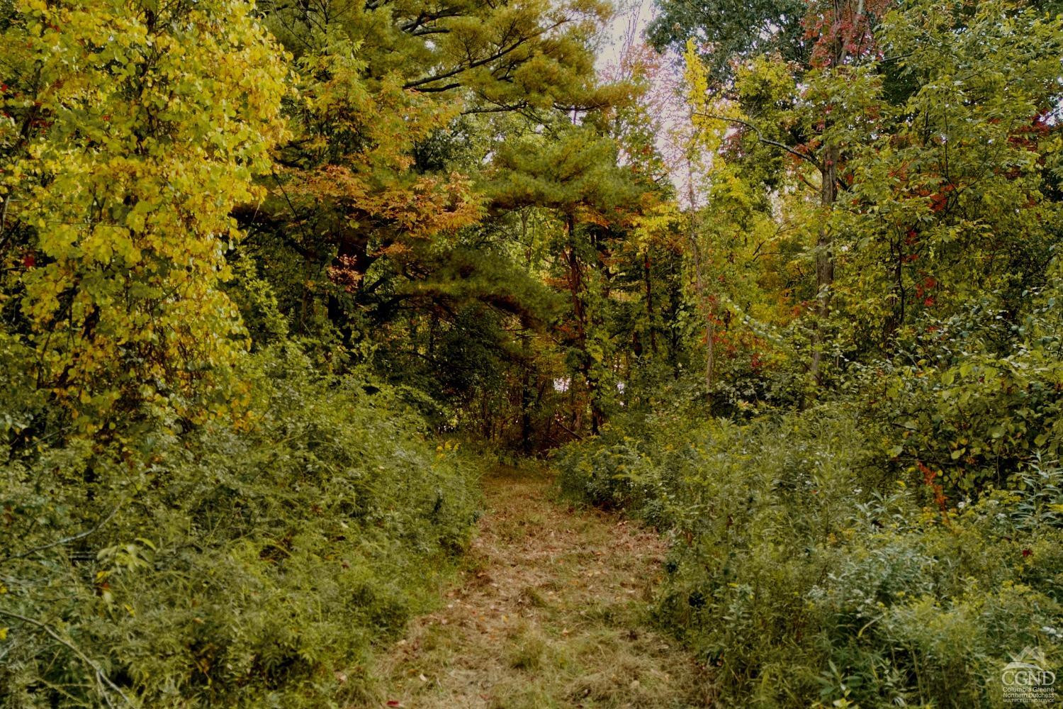 0 River Road Schodack Landing, NY 12156 - Photo 12 of 28 a view of a tree