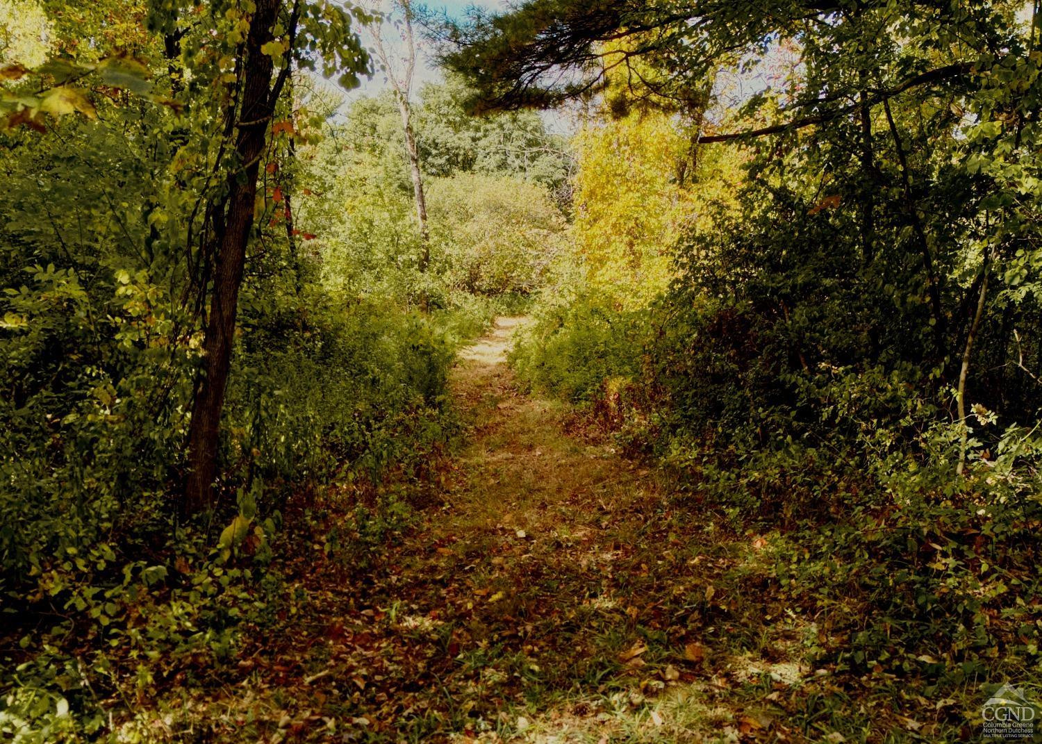 0 River Road Schodack Landing, NY 12156 - Photo 14 of 28 a view of a yard