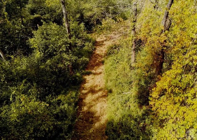 a view of outdoor space