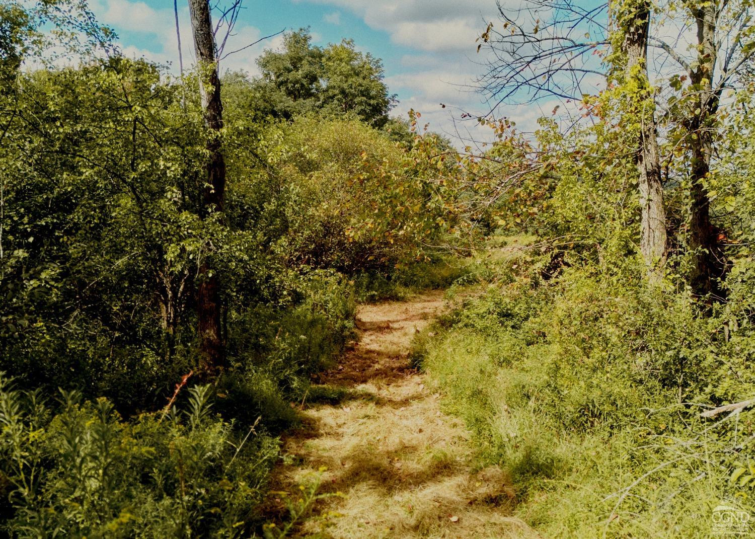 0 River Road Schodack Landing, NY 12156 - Photo 16 of 28 a view of a tree with a yard