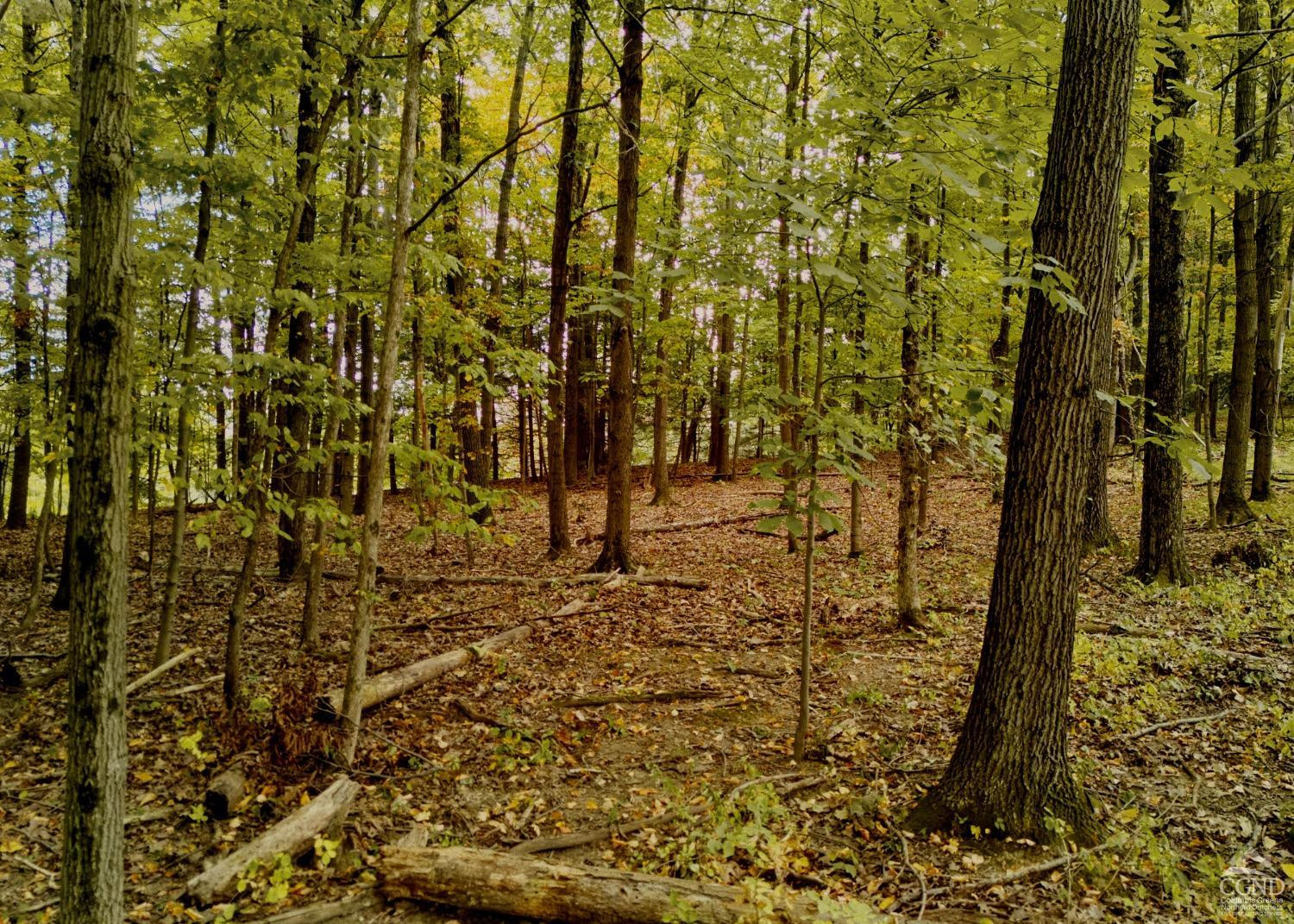 0 River Road Schodack Landing, NY 12156 - Photo 18 of 28