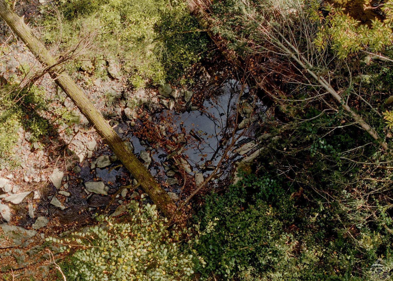 0 River Road Schodack Landing, NY 12156 - Photo 19 of 28 a view of a tree