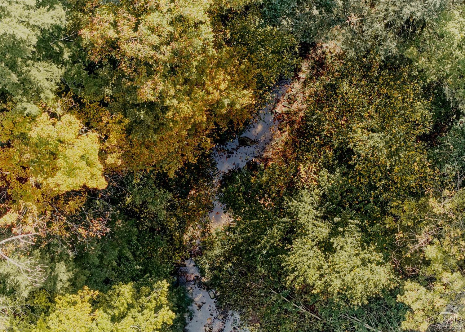 0 River Road Schodack Landing, NY 12156 - Photo 20 of 28 a view of a tree