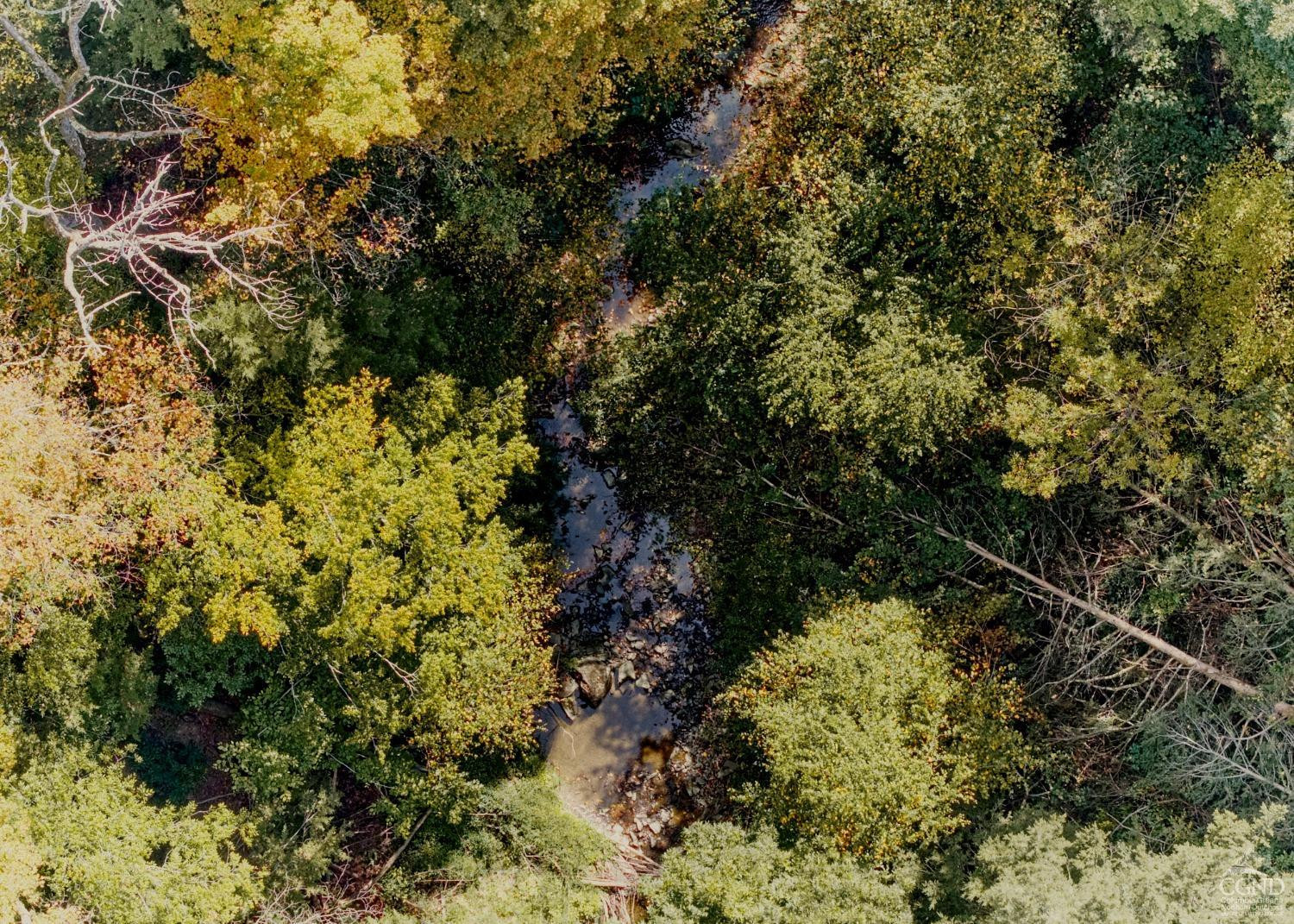 0 River Road Schodack Landing, NY 12156 - Photo 21 of 28 a view of a forest with a tree