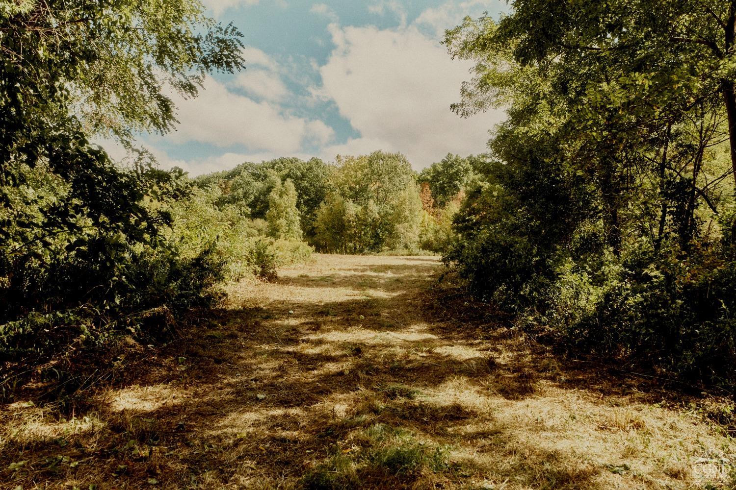 0 River Road Schodack Landing, NY 12156 - Photo 23 of 28 a view of mountain view with trees