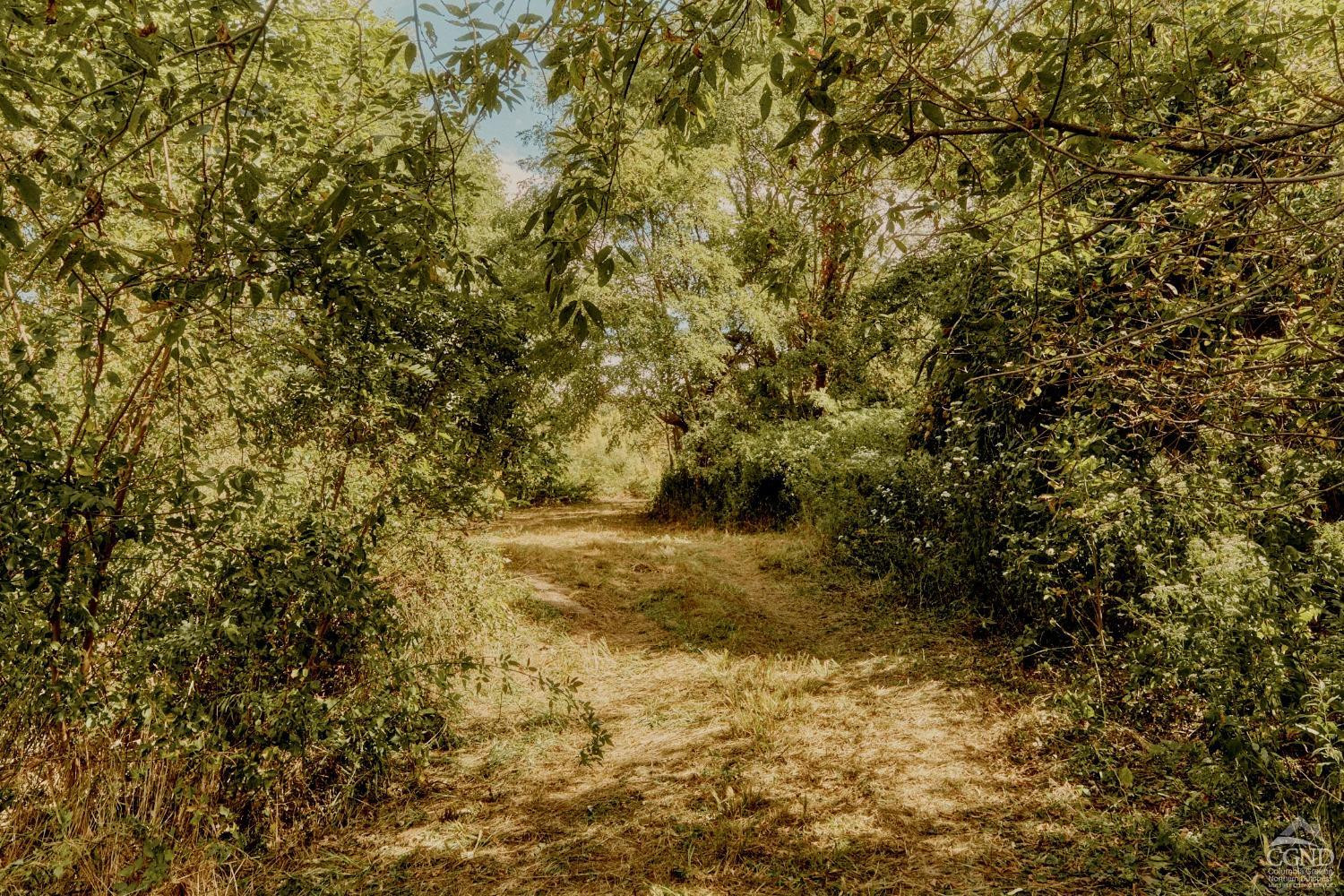 0 River Road Schodack Landing, NY 12156 - Photo 24 of 28 a view of a yard with trees