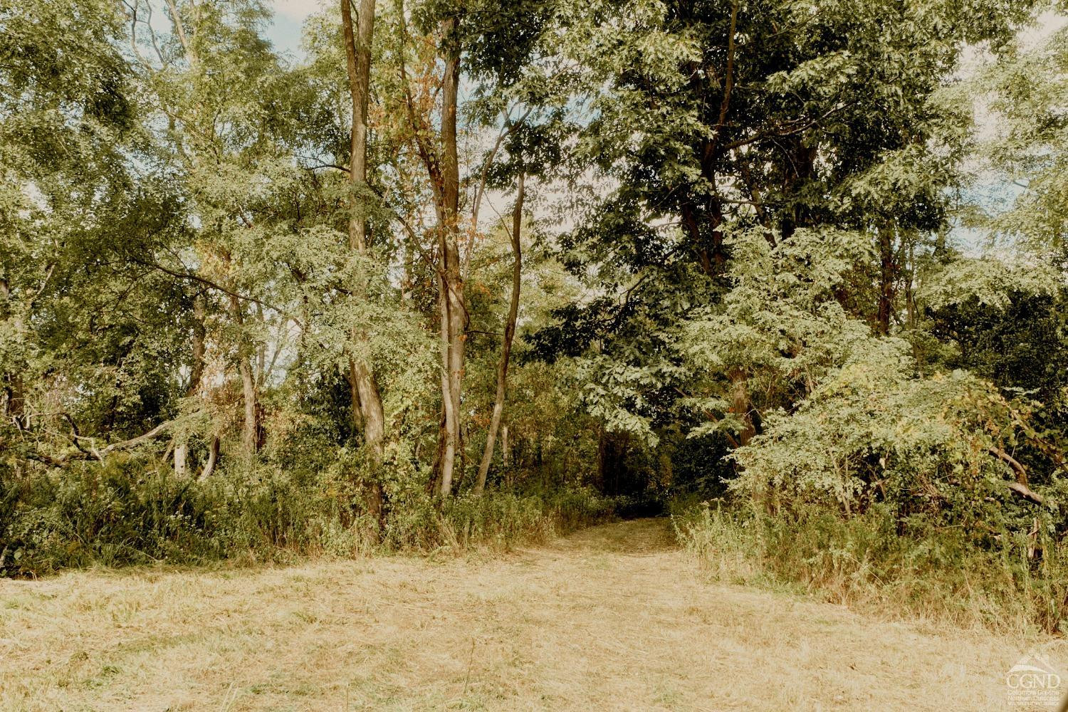 0 River Road Schodack Landing, NY 12156 - Photo 25 of 28 a view of a yard