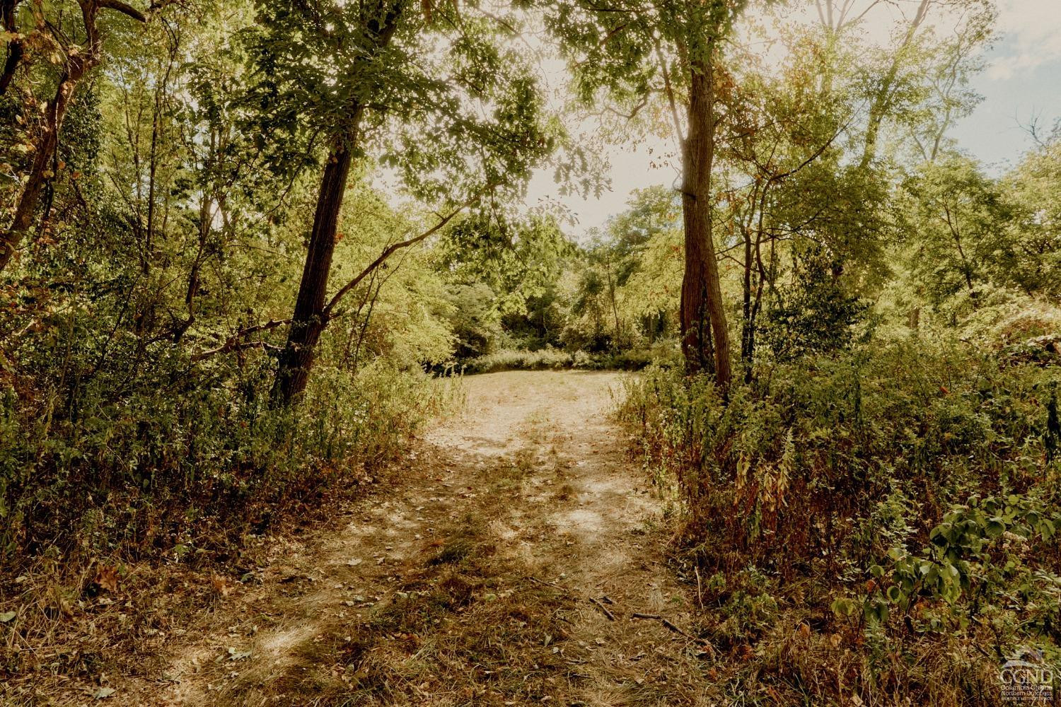 0 River Road Schodack Landing, NY 12156 - Photo 26 of 28 a view of lake with tree