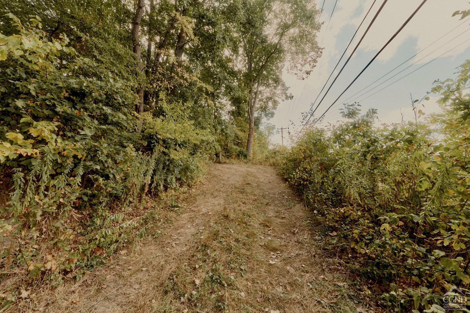 0 River Road Schodack Landing, NY 12156 - Photo 27 of 28 a view of a yard with plants and large trees